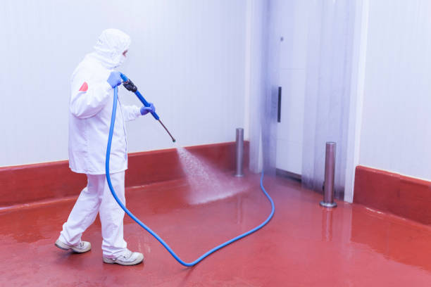 Professional  Pressure Washing Services in Pine Grove, CA